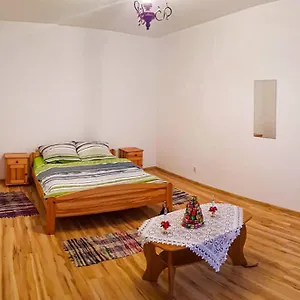  Apartament W Centrum Zakopanego Polska